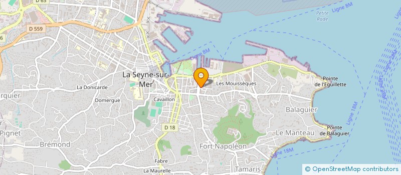 localisation de l'entreprise MONSIEUR ALEXANDRE DUMIN  LA SEYNE-SUR-MER