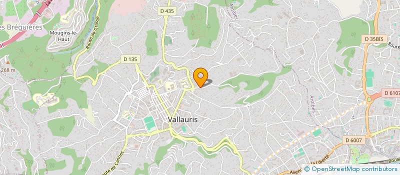 localisation de l'entreprise MONSIEUR ALEXANDRE DUMOULIN  VALLAURIS