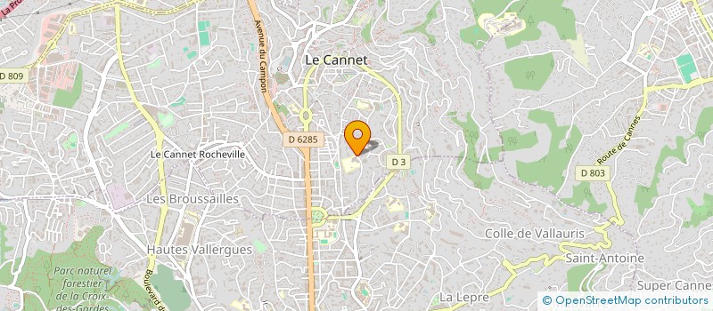 localisation de l'entreprise MONSIEUR ALEXANDRE DUVAL à LE CANNET