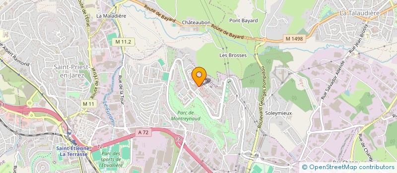 localisation de l'entreprise MONSIEUR ALEXANDRE FERRET  SAINT-ETIENNE