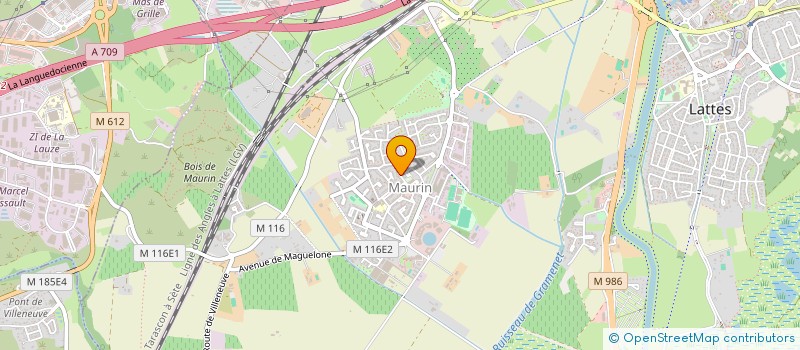 localisation de l'entreprise MONSIEUR ALEXANDRE FIGON  PORTO-VECCHIO