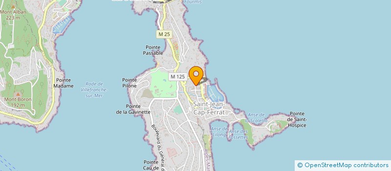 localisation de l'entreprise MONSIEUR ALEXANDRE FLERES  SAINT-JEAN-CAP-FERRAT