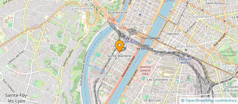 localisation de l'entreprise MONSIEUR ALEXANDRE FLORES à LYON