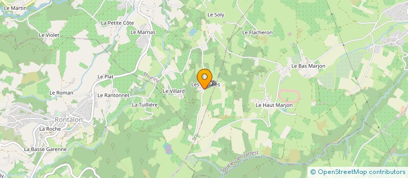 localisation de l'entreprise MONSIEUR ALEXANDRE GUET à THURINS