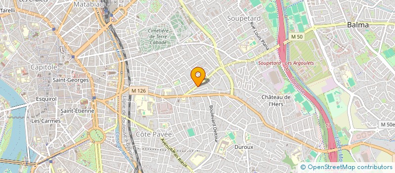 localisation de l'entreprise MONSIEUR ALEXANDRE LEON  TOULOUSE