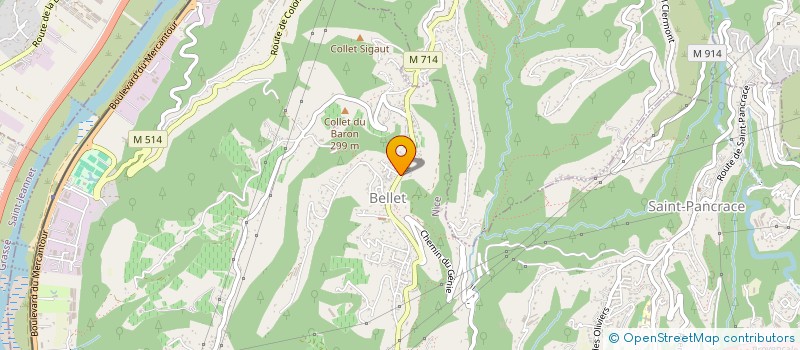 localisation de l'entreprise MONSIEUR ALEXANDRE MARTIN CORBELLI  NICE