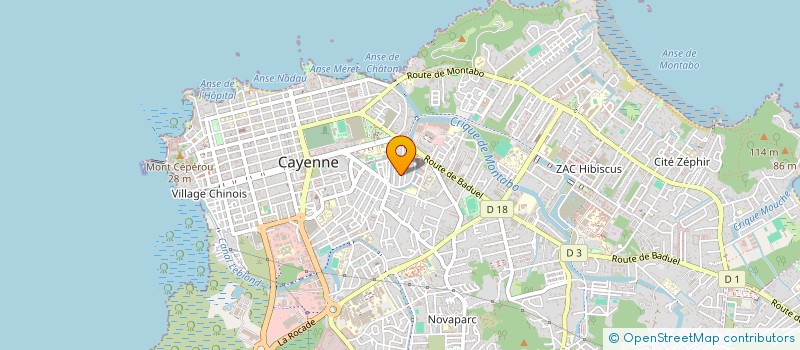 localisation de l'entreprise MONSIEUR ALEXANDRE MONTEIRO LEITE à CAYENNE