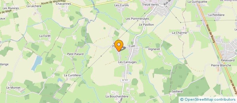 localisation de l'entreprise MONSIEUR ALEXANDRE MOREL  MONTREVEL-EN-BRESSE