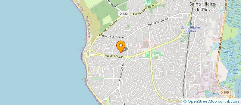 localisation de l'entreprise MONSIEUR ALEXANDRE NAGY  SAINT-HILAIRE-DE-RIEZ