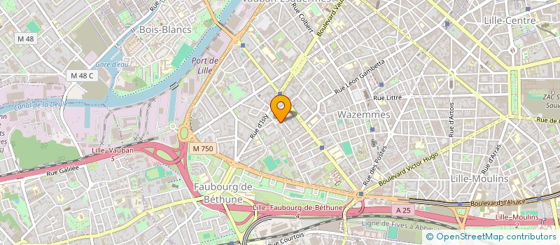 localisation de l'entreprise MONSIEUR ALEXANDRE NOEL à LILLE