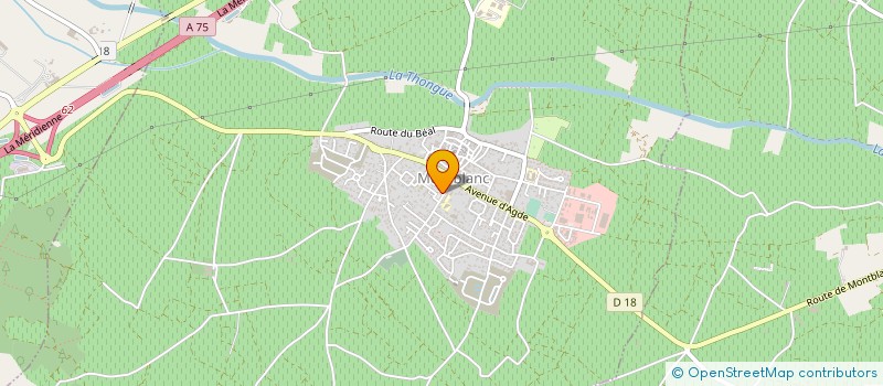 localisation de l'entreprise MONSIEUR ALEXANDRE NOGUERA  MONTBLANC