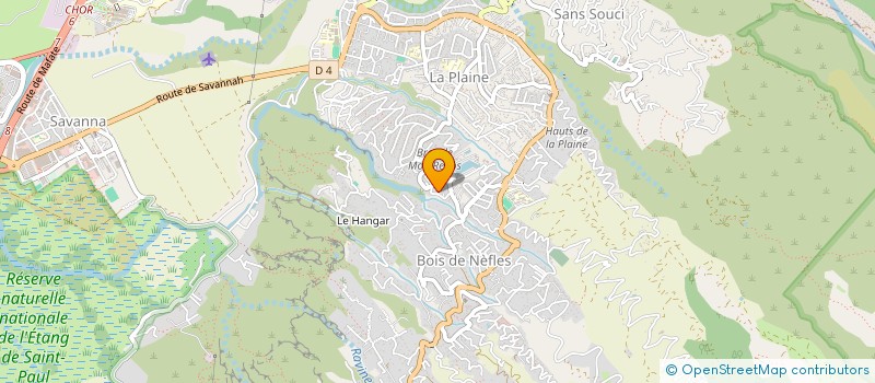 localisation de l'entreprise MONSIEUR ALEXANDRE PANGRAZZI  SAINT-PAUL