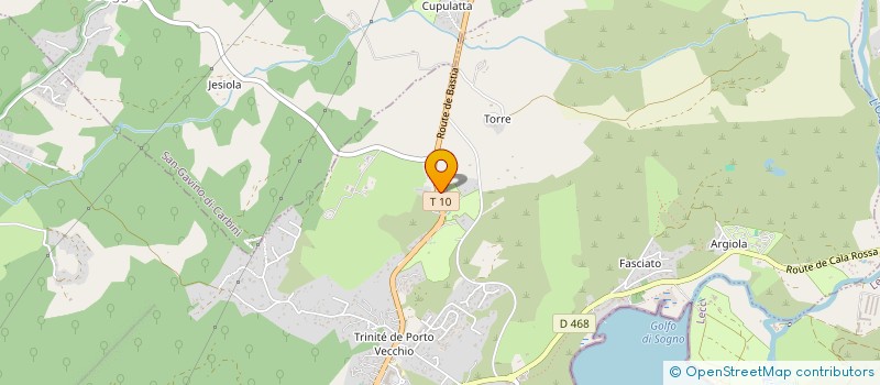 localisation de l'entreprise MONSIEUR ALEXANDRE PASQUALINI  PORTO-VECCHIO