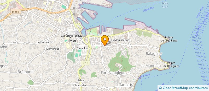 localisation de l'entreprise MONSIEUR ALEXANDRE PLATEVOET à LA SEYNE-SUR-MER