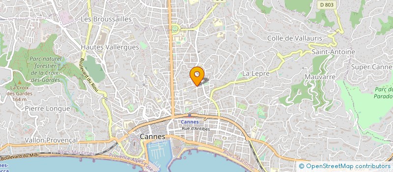 localisation de l'entreprise MONSIEUR ALEXANDRE PRIOUZEAU à CANNES