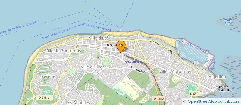 localisation de l'entreprise MONSIEUR ALEXANDRE RIES à ARCACHON