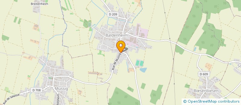 localisation de l'entreprise MONSIEUR ALEXANDRE RINGWALD  BALDENHEIM