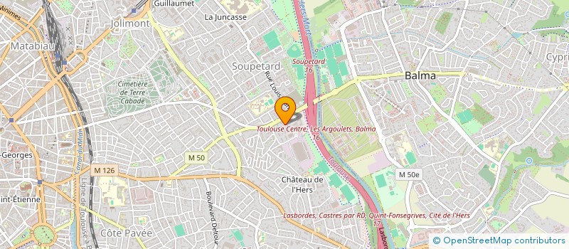 localisation de l'entreprise MONSIEUR ALEXANDRE SALVAGE à TOULOUSE