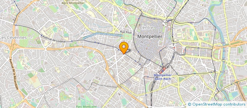 localisation de l'entreprise MONSIEUR ALEXANDRE SARAIVA à MONTPELLIER