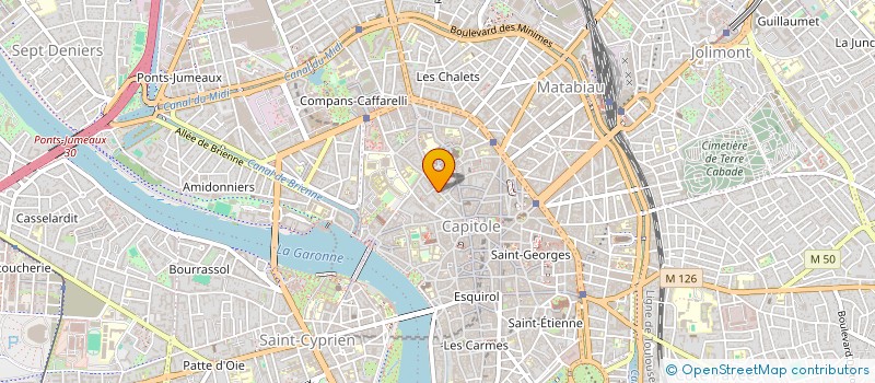 localisation de l'entreprise MONSIEUR ALEXANDRE SEBAGH  TOULOUSE