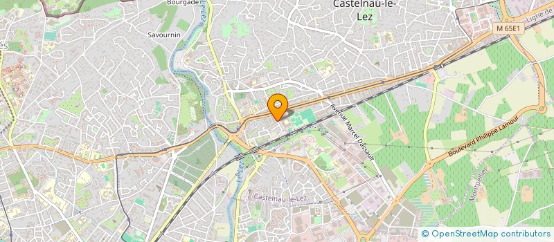 localisation de l'entreprise MONSIEUR ALEXANDRE SIBONI  CASTELNAU-LE-LEZ