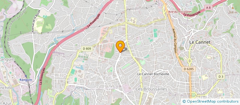 localisation de l'entreprise MONSIEUR ALEXANDRE TANEVSKI à LE CANNET