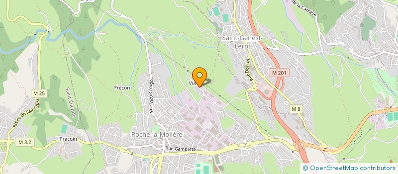 localisation de l'entreprise MONSIEUR ALEXANDRE TEIXEIRA  ROCHE-LA-MOLIERE