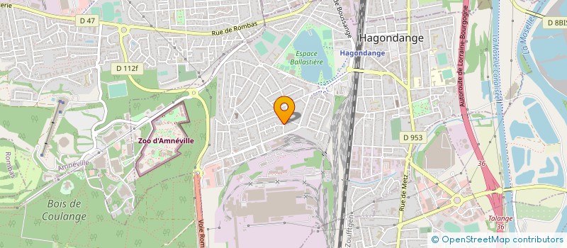 localisation de l'entreprise MONSIEUR ALEXANDRE TEMPESTINI  MOYEUVRE-GRANDE