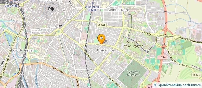 localisation de l'entreprise MONSIEUR ALEXANDRE THENOZ  DIJON