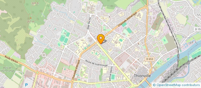 localisation de l'entreprise MONSIEUR ALEXANDRE TRUJILLO à THIONVILLE