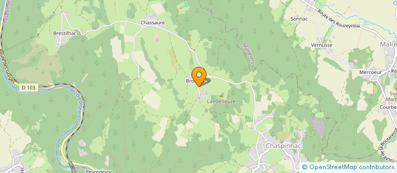 localisation de l'entreprise MONSIEUR ALEXANDRE VIDAL  CHASPINHAC