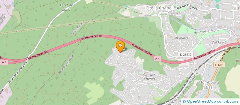 localisation de l'entreprise MONSIEUR ALEXANDRE VINCLER  HOMBOURG HAUT