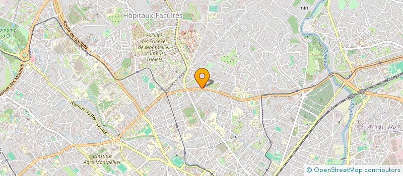 localisation de l'entreprise MONSIEUR ALEXANDRE WIEFELS à MONTPELLIER