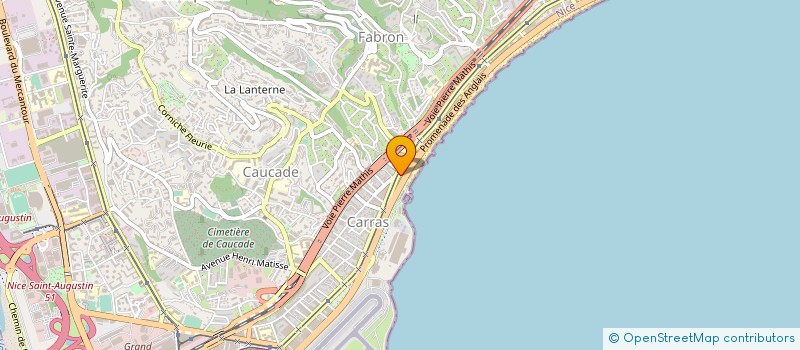 localisation de l'entreprise MONSIEUR ALEXANDRE WITOSZ à NICE