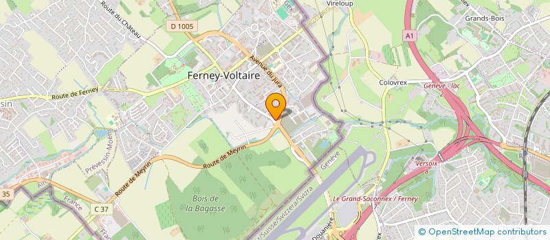 localisation de l'entreprise MONSIEUR ALEXANDRE WOLTER à FERNEY-VOLTAIRE