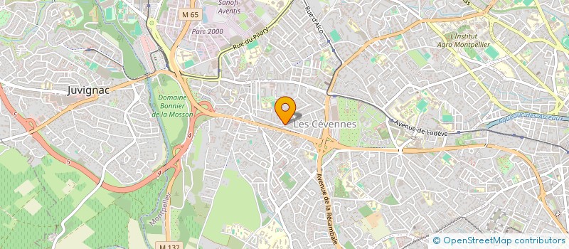 localisation de l'entreprise MONSIEUR ALEXANDRE ZANELLI à MONTPELLIER