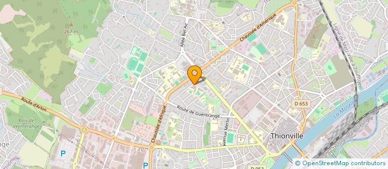 localisation de l'entreprise MONSIEUR ALEXANDRE ZANIERI  THIONVILLE