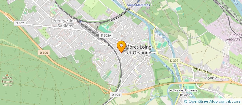 localisation de l'entreprise MONSIEUR ALEXANDRU BALGIU à MORET-LOING-ET-ORVANNE