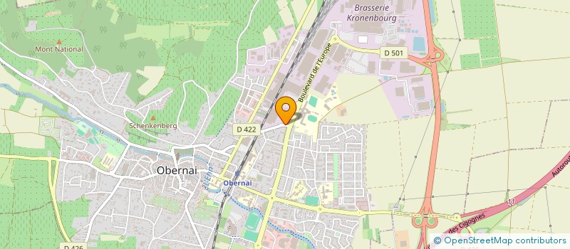 localisation de l'entreprise MONSIEUR ALEXANDRU DIMA à OBERNAI