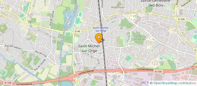 localisation de l'entreprise MONSIEUR ALEXANDRU LUNGU  SAINT-MICHEL-SUR-ORGE