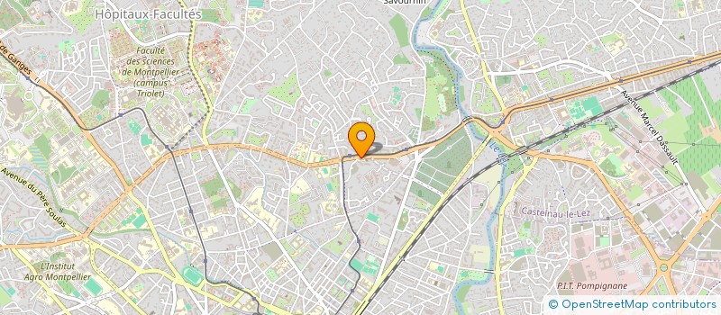 localisation de l'entreprise MONSIEUR ALEXANDRU MURESAN à MONTPELLIER
