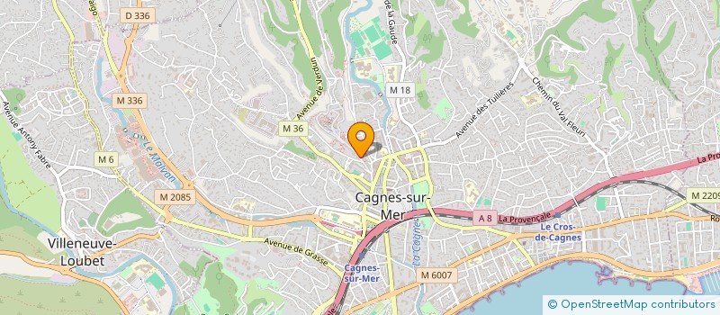 localisation de l'entreprise MONSIEUR ALEXANDRU NITU à CAGNES-SUR-MER