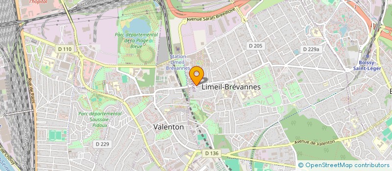 localisation de l'entreprise MONSIEUR ALEXANDRU VIRLAN à RIS-ORANGIS