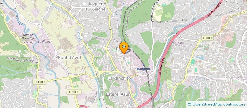 localisation de l'entreprise MONSIEUR ALEXEI PALADI  CANNES