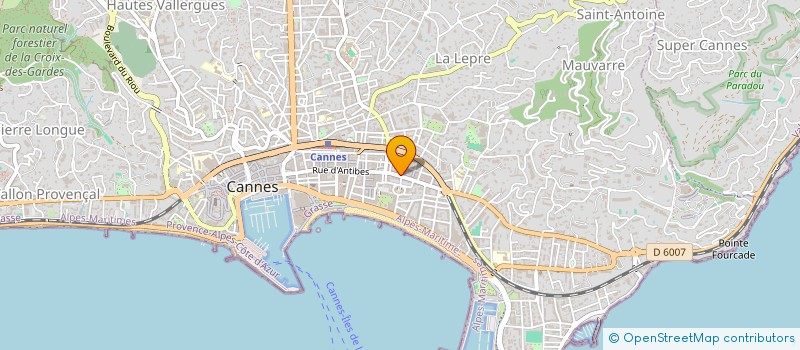 localisation de l'entreprise MONSIEUR ALEXEY LOBANOV  CANNES