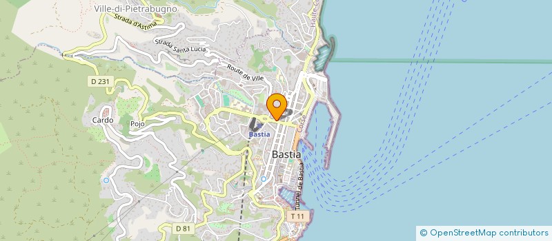 localisation de l'entreprise MONSIEUR ALEXIS BIAVARDI à BASTIA