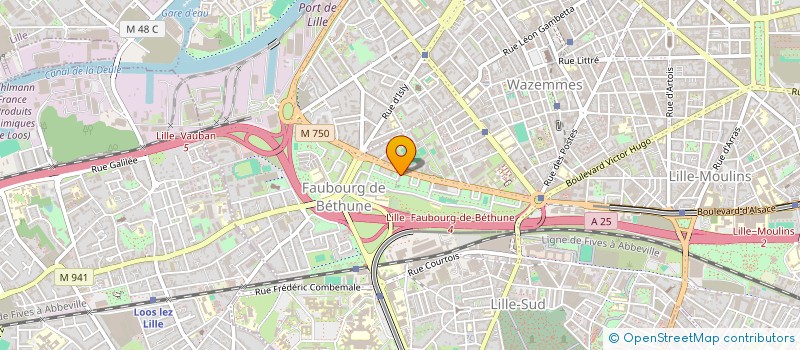 localisation de l'entreprise MONSIEUR ALEXIS BOULY à LILLE