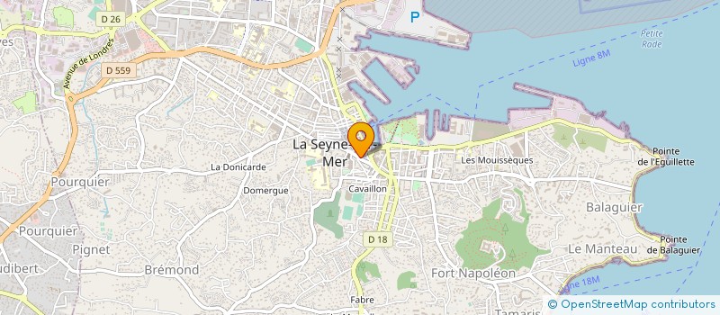 localisation de l'entreprise MONSIEUR ALEXIS COLLIN à LA SEYNE-SUR-MER