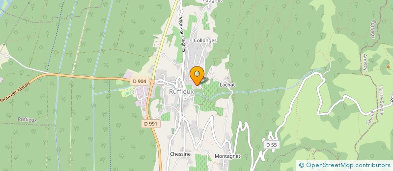 localisation de l'entreprise MONSIEUR ALEXIS DELGORGUE  RUFFIEUX