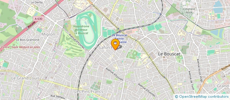 localisation de l'entreprise MONSIEUR ALEXIS DWORKIN  LE BOUSCAT